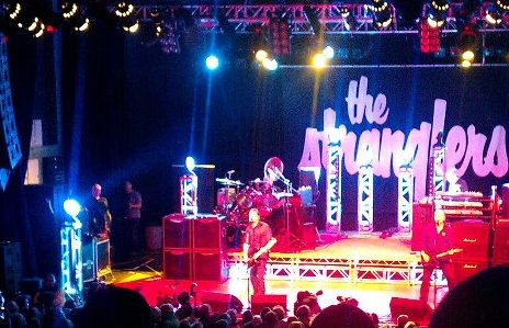 419921_247594098664139_100002406532828_550307_828834117_n