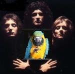 41JEmTOBr8L._SL500_AA300_