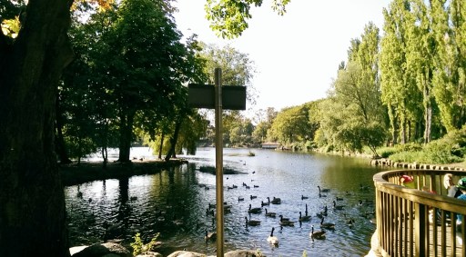 November 10 - Walsall Arbouretum Pool (1024x567)