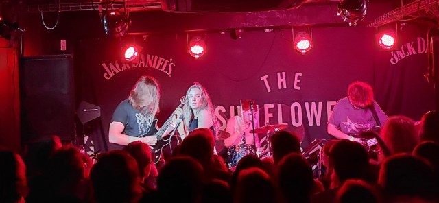 Dead Pony — The Sunflower Lounge — September 17 2023  © Antony N Britt 2023